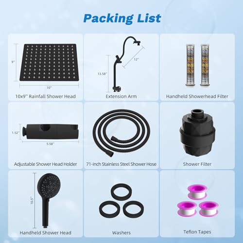 10" Dual Filtered 10" Rainfall Shower Head with Handheld 10