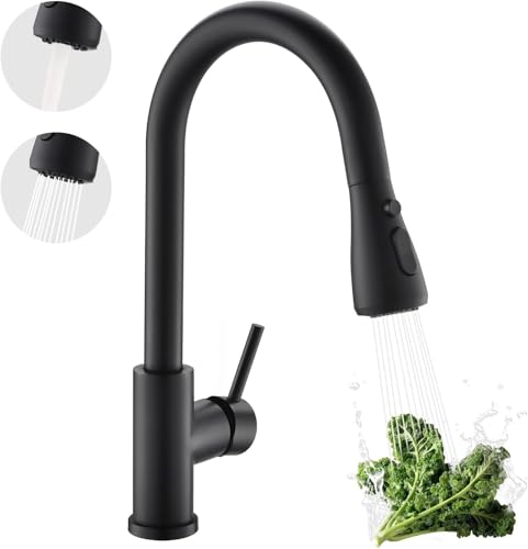 Kitchen Faucet with Pull Down sparyer