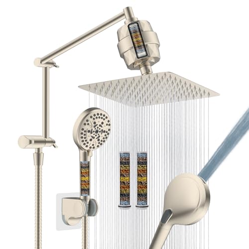 Metal Rain Filtered Shower Head with Handheld