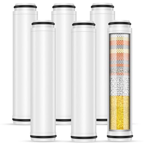 Shower Filter for Handheld Shower Head (6 Count)