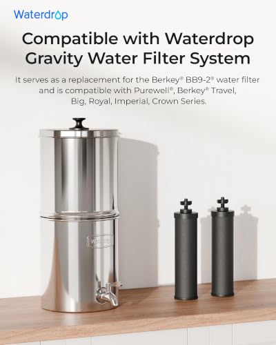 Silver Ions Black Water Filter (2 Count)