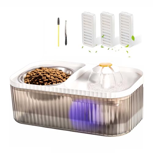 Cat Water Fountain and Stainless Steel Food Bowl