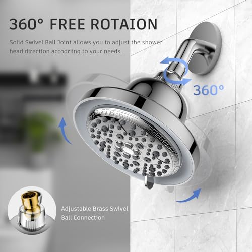 LED Filtered Shower Head