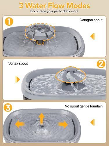 9.5L Dog Water Fountain for Large Dogs