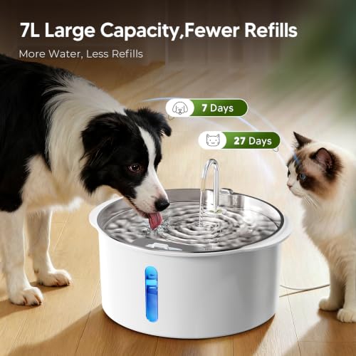 Dog Water Fountain for Large Dogs (236 Ounce)