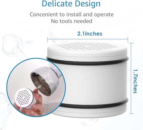 WHR 140 Shower Filter (2 Count)