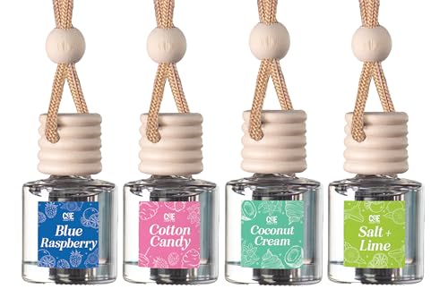 Hanging Car Air Freshener (4 Count)
