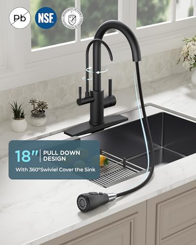 Kitchen Faucets with Purified Water