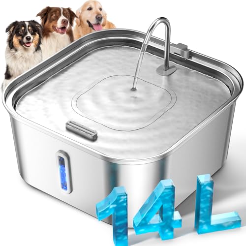 Large Dog Water Fountain 14L