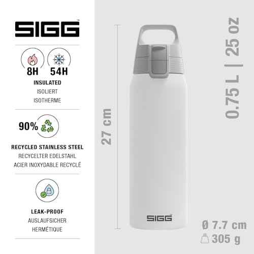 Insulated Water Bottle