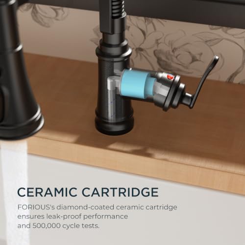 Black Kitchen Faucet with Pull Down Sprayer