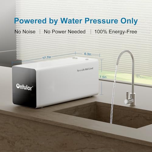 Reverse Osmosis System