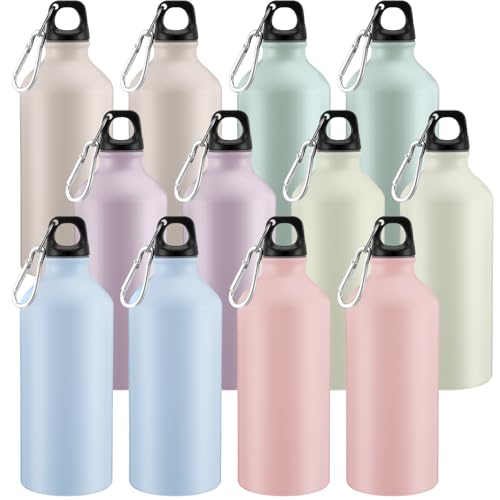 12 Pcs Aluminum Water Bottles Bulk Reusable Bottles (12 Count)