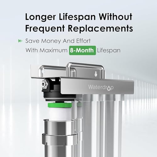 P1 Water Filter Replacement for TST (2 Count)