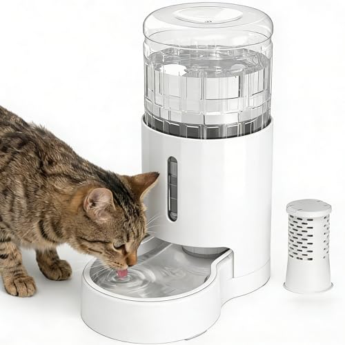 Cat Water Dispenser with Filter and Stainless Steel Bowl