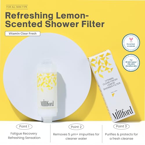 Vitamin C Shower Filter
