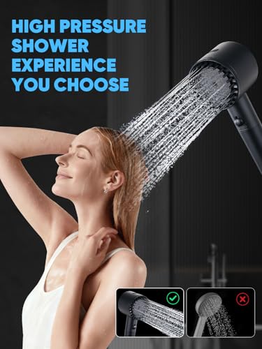 Filtered Shower Head with Handheld