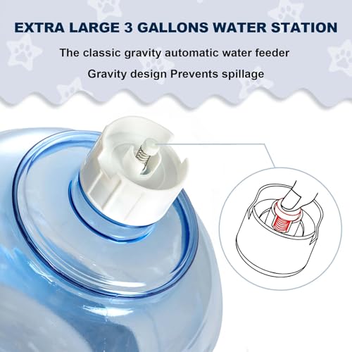 3 Gallon Large Dog Water Dispenser