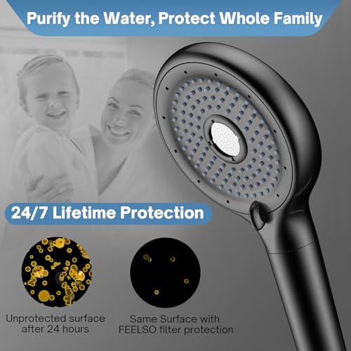 Filtered Shower Head with Handheld