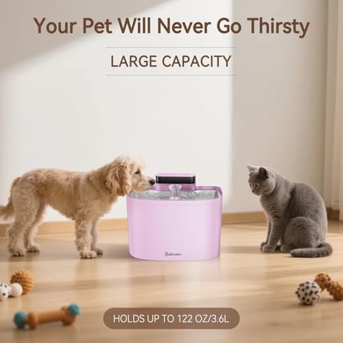 Cat Water Fountain