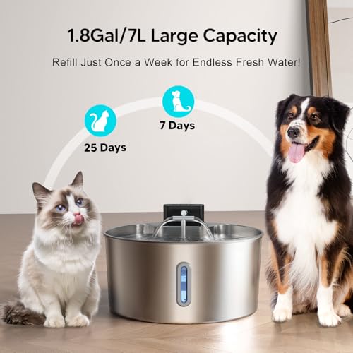 Dog Water Fountain (2.4 Pound)