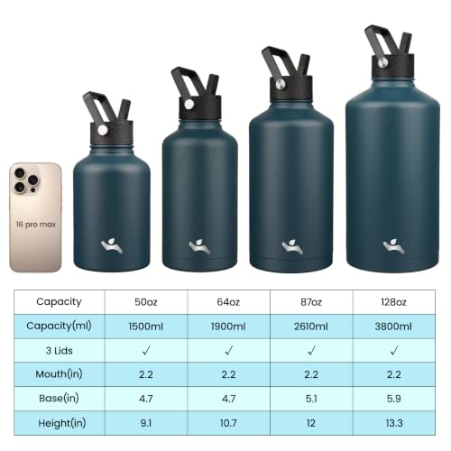 87 oz Insulated Stainless Steel Water Bottle Jug with Handle