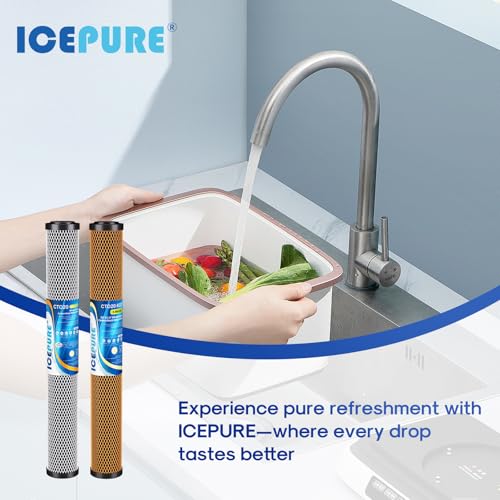 20" x 2.5" Whole House CTO Carbon Water Filter Cartridge (2 Count)