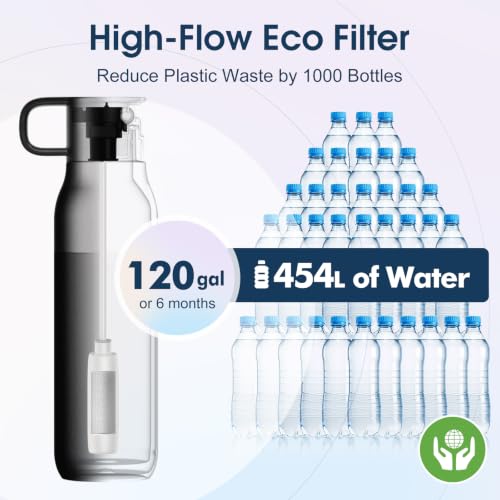 S2 25oz Insulated Stainless Steel Filtered Water Bottle with Straw