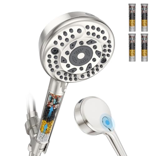 Filtered Shower Head with Handheld