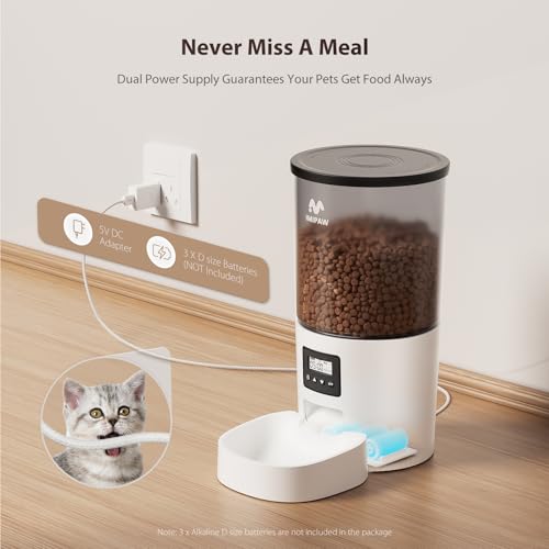 Automatic Cat Feeders