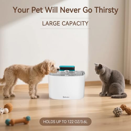 Cat Water Fountain