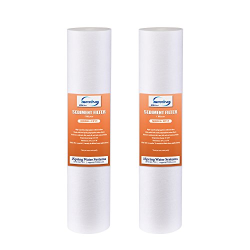 FP11X2 Sediment Water Filter Cartridges Replacement (2 Count)