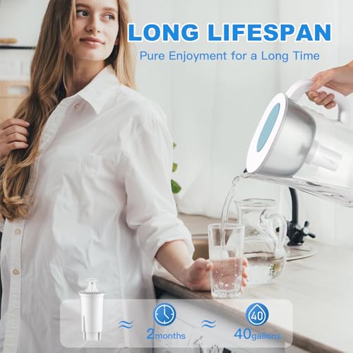 Water Filter Replacement Compatible with Brita Filter & Pitchers