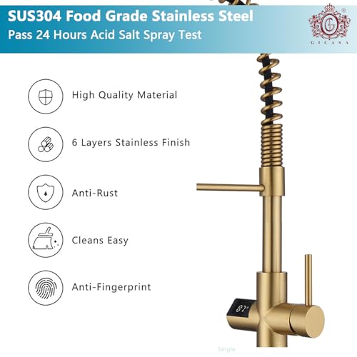Kitchen Faucet with Temperature Digital Display
