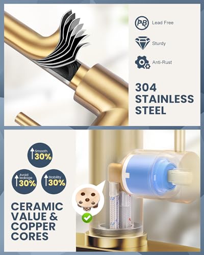 Kitchen Faucet with Air Gap
