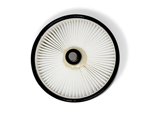 Pet Hair Eraser Lift (31 Count)