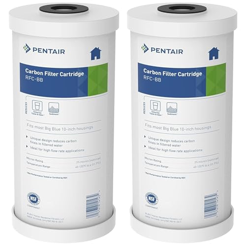 Pentair Pentek RFC