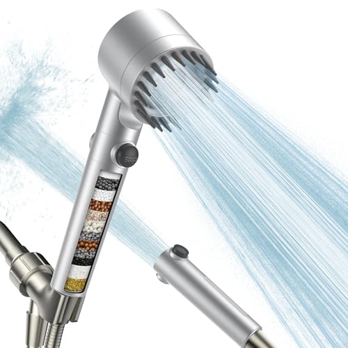 Filtered Shower Head with Handheld