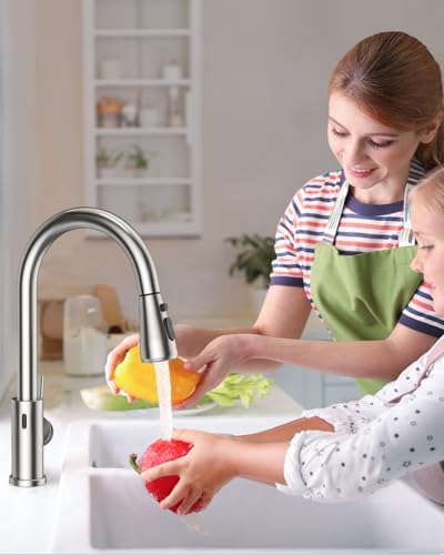 Touchless Kitchen Faucet
