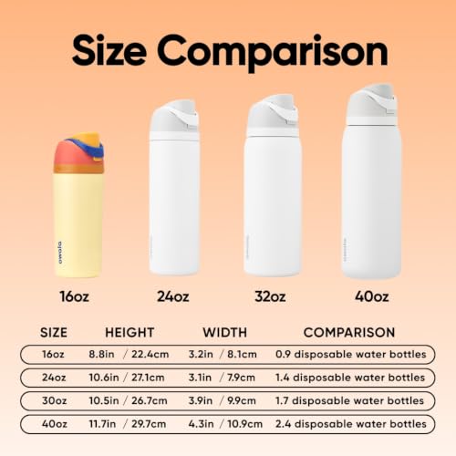 FreeSip Kids Stainless Steel Water Bottle 16 oz Misty Horizon