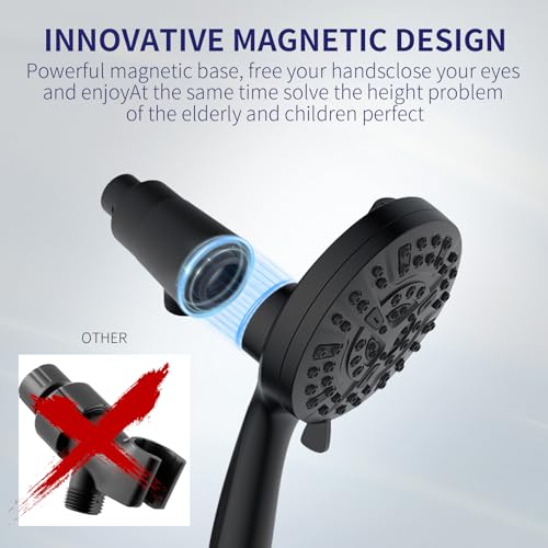 Filtered Shower Head with Handheld