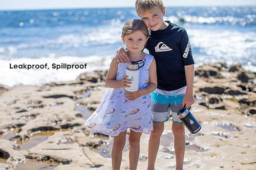 Stainless Steel Insulated Water Bottle with Straw