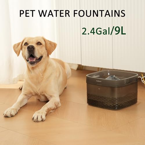 2.4Gal 9L Pet Water Fountains for Medium and Large Dogs and Multiple Cats Large Capacity Automatic