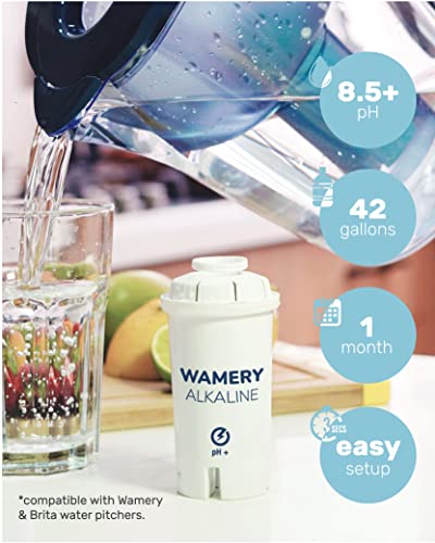 Alkaline Pitcher Water Filter Replacement for Brita Pitchers (3 Count)