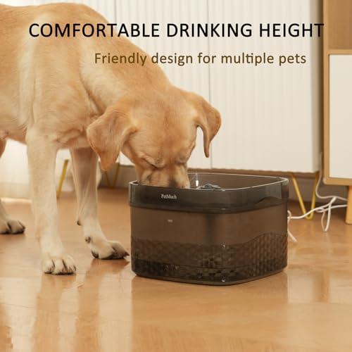 2.4Gal 9L Pet Water Fountains for Medium and Large Dogs and Multiple Cats Large Capacity Automatic