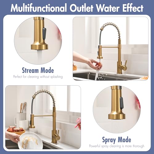 Kitchen Faucet with Pull Down Sprayer Brushed Gold