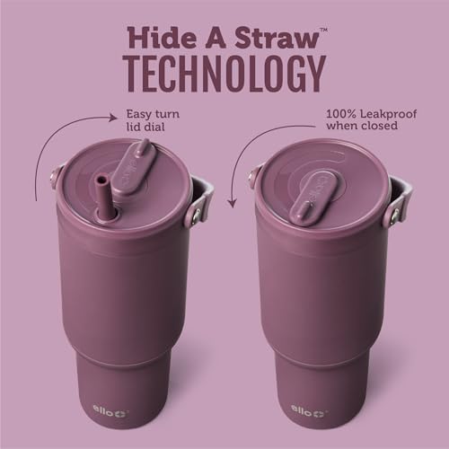 Oasis Go+ 32oz Insulated Stainless Steel Tumbler with Straw