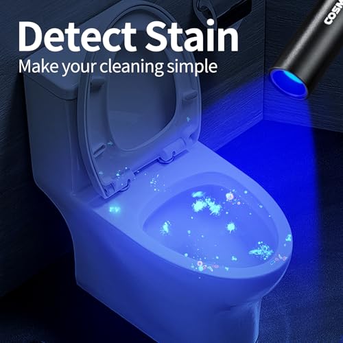 UV Flashlight USB Rechargeable (2 Count)