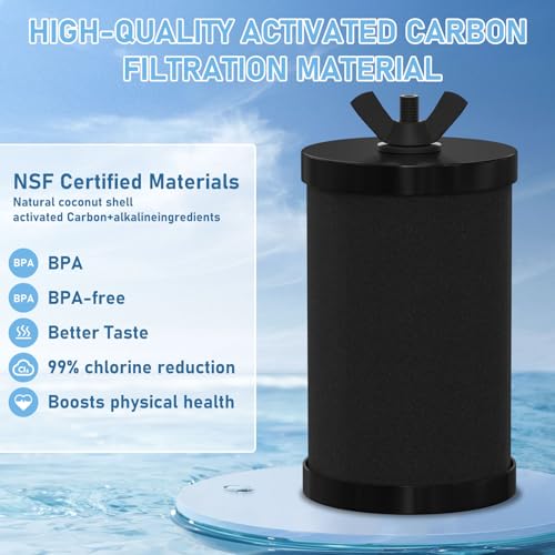 2387 Pro Water Filter Replacement (2 Count)