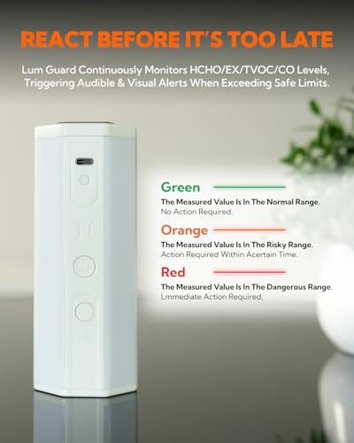 Portable Air Monitor